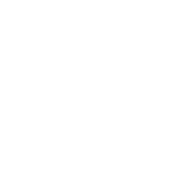 Maruti Suzuki logo